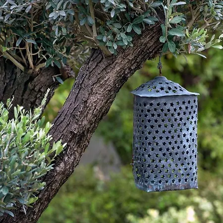 Ev Bharat Butique Hotel,