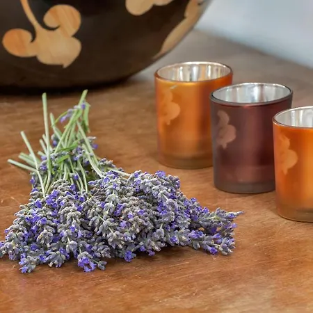 Ev Bharat Butique Hotel, Hotel