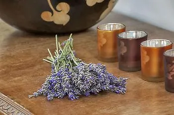 Hotel Ev Bharat Butique Hotel, 2*