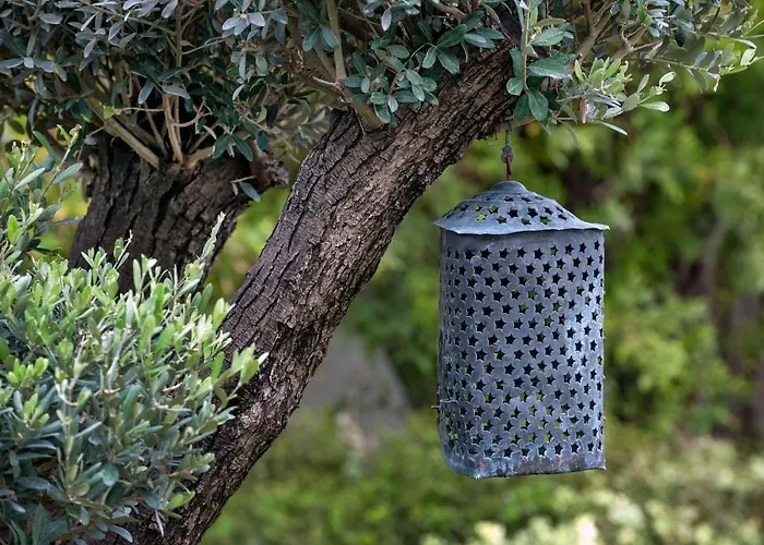 Ev Bharat Butique Hotel,