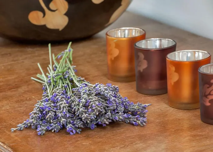 Ev Bharat Butique Hotel, Szálloda